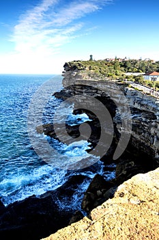 Watson Bay Cliff Sydney