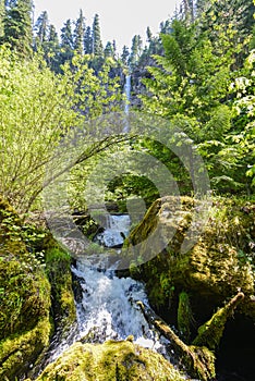 Watson Falls, Oregon