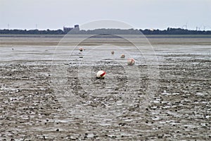 Watt landscape with buoys at low tide