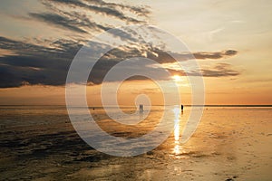 Wattenmeer, mud tideland in North Sea, Germany. Nordsee, Watt by sunset.