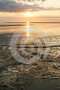 Wattenmeer, mud tideland in North Sea, Germany. Nordsee, Watt by sunset.