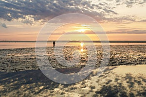 Wattenmeer, mud tideland in North Sea, Germany. Nordsee, Watt by sunset.