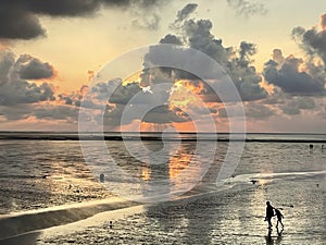 Wattenmeer, mud tideland in North Sea, Germany on sunset. Nordsee, Watt.