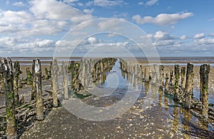 Wattenmeer National Park,North Sea,North Frisia,Germany photo