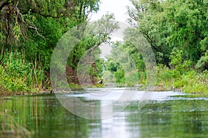A watter channel in the Danube Delta photo