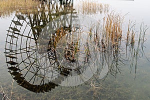 Watter mill inverted image and bulrush photo