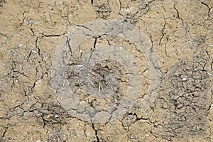 Wattle and daub texture closeup of mud house