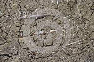 Wattle and daub texture closeup of mud house