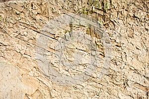 Wattle and daub wall texture