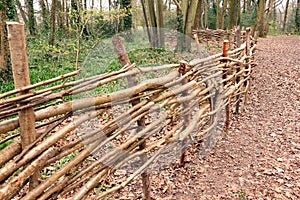 Wattle Fence