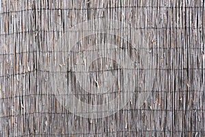 Wattle fence of dry horizontal twigs as the background. Traditional rustic fence. Abstract wooden backdrop