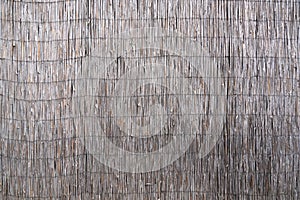 Wattle fence of dry horizontal twigs as the background. Traditional rustic fence. Abstract wooden backdrop