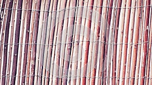 Wattle fence of dry twigs as the background. Traditional rustic fence. Abstract wooden backdrop