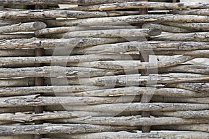 Wattle fence of dry twigs in the background