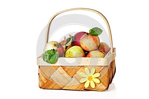 Wattled basket full of ripe apples