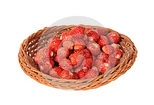 Wattled basket with wild strawberry