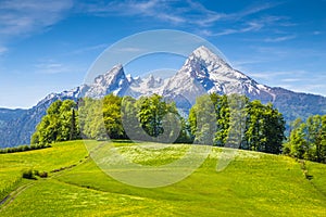 Watzmann mountain with green meadows in spring, Bavaria, Germany