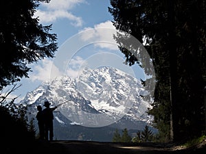 Watzmann, seen through the woods photo