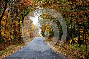 Wausau Ave in October with colorful autumn trees in Wausau, Wisconsin