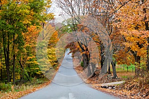 Wausau Ave in October with colorful autumn trees in Wausau, Wisconsin