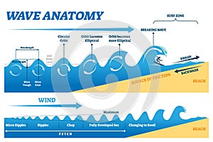 Wave anatomy vector illustration. Water movement physics explanation scheme