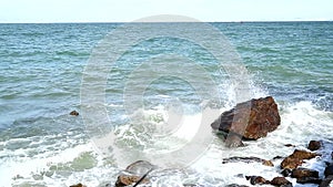 Wave attact stone near beach speed boat on sea silhouette tree