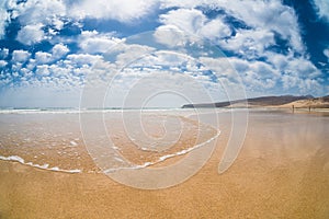 Wave on beach in a sunny day