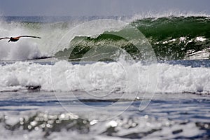 Wave Breaking on Beach, Nicaragua