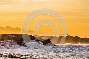 Wave breaking on the rocks at sunset.