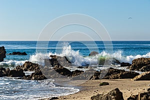 Wave breaking on rocky beach. Ocean in background. Seagull flying in sky.