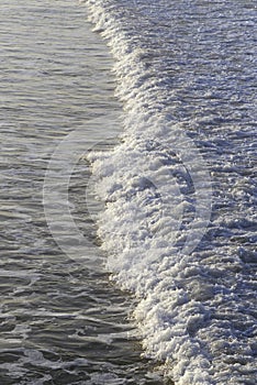Wave Breaking at Sunrise, Los Angeles, California