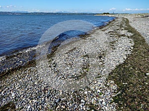 Wave carried lines of seaweed on a rocky beach