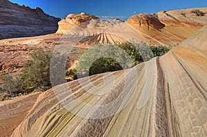 The Wave, Coyote Buttes