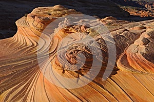 The Wave, Coyote Buttes photo