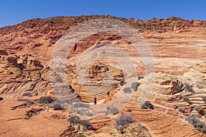 The Wave, Coyote Buttes, Arizona, United States.