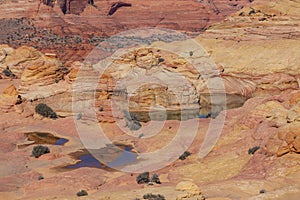 The Wave, Coyote Buttes, Arizona, United States.