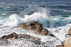 Wave crashes over rocks