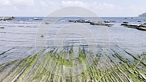 Wave-cut platform overgrown with green algae