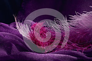 Wave of elegant violet textile texture with fine pink feathers.
