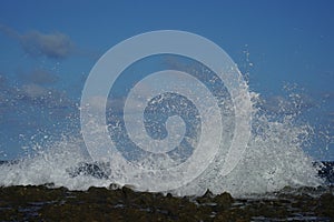 Wave at Florida`s Atlantic Beach