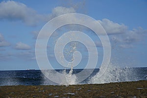 Wave at Florida`s Atlantic Beach