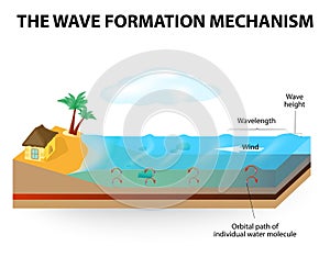 Wave formation mechanism