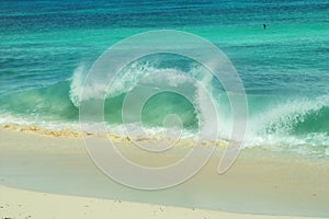 Wave fun, tropical sand beach.