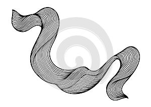 Wave hair line curl.