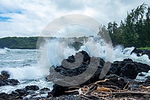 Wave hitting black stones sorounded with forest