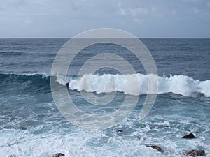 A wave in Jardim do mar in January