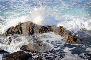 Wave in the Pacific Ocean