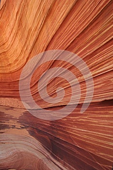 The Wave. Paria Canyon.