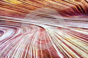 The Wave petrified dune background