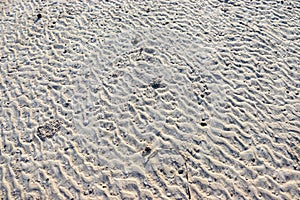 Wave ripples on sealine beach,